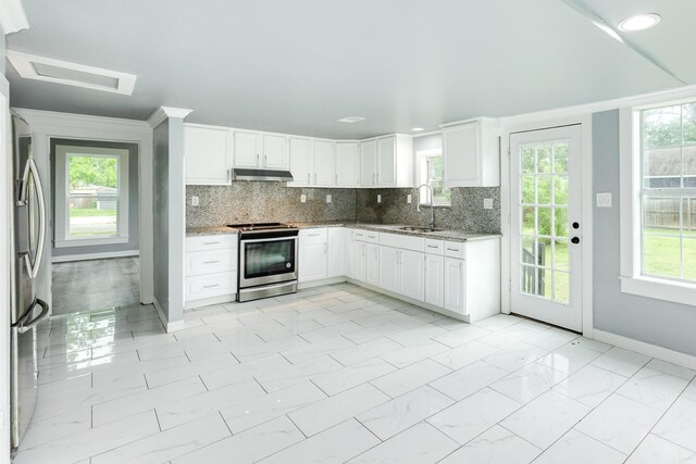 kitchen featuring appliances with stainless steel finishes, tasteful backsplash, light stone countertops, a sink, and under cabinet range hood