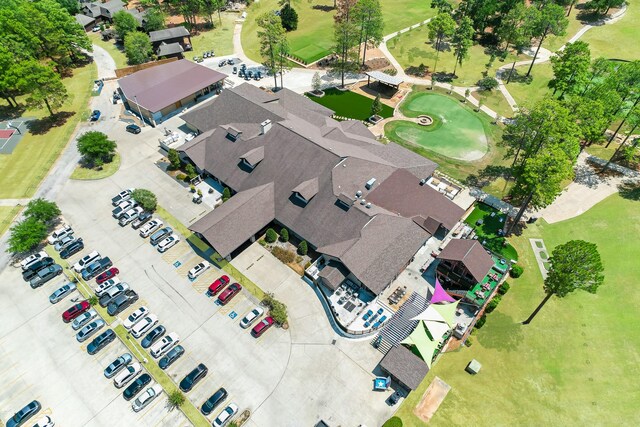 bird's eye view