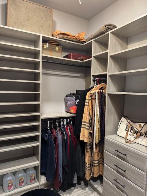 view of walk in closet