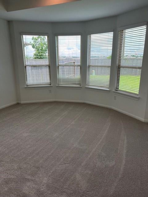 26712 Grandiflora Dr, Magnolia, TX 77355 - spare room featuring carpet floors
