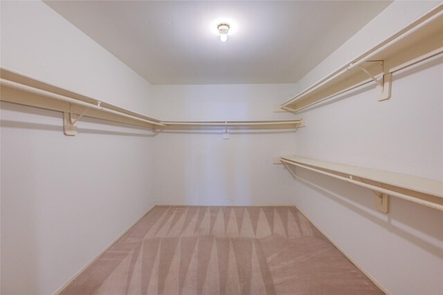 walk in closet with carpet flooring