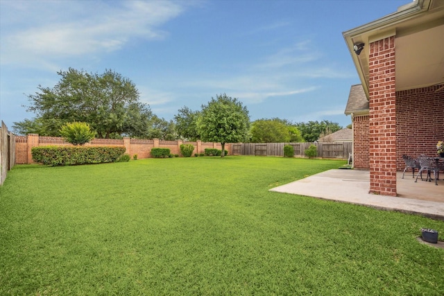 view of yard featuring a fenced backyard and a patio area