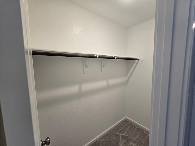 408 Emma St, Angleton, TX 77515 - walk in closet with dark carpet