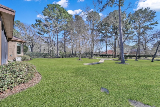 73 La Jolla Cir, Montgomery, TX 77356 - view of yard