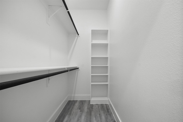walk in closet with dark wood-style flooring