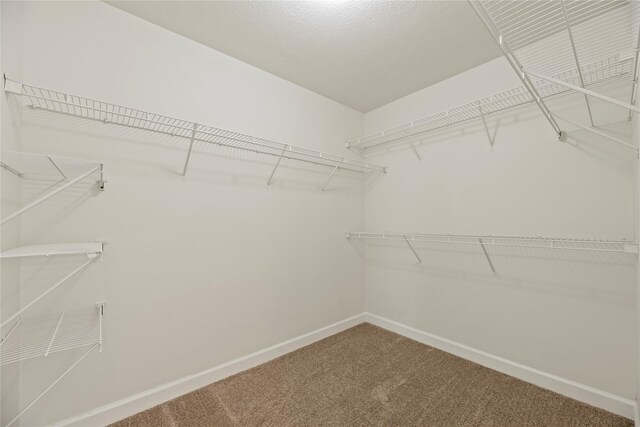 spacious closet with carpet