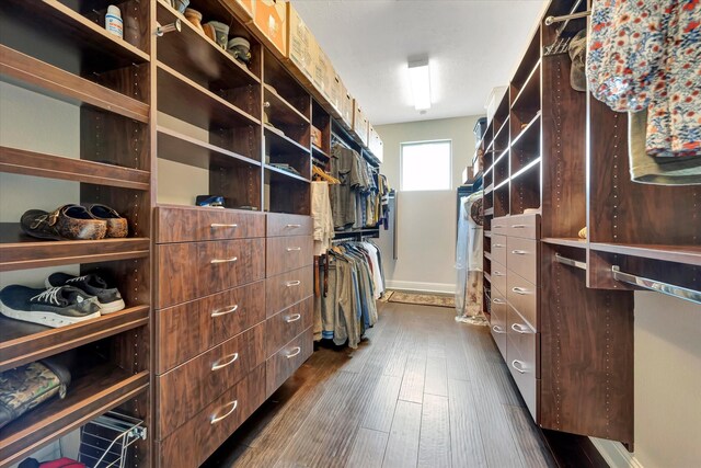 walk in closet with dark wood-type flooring