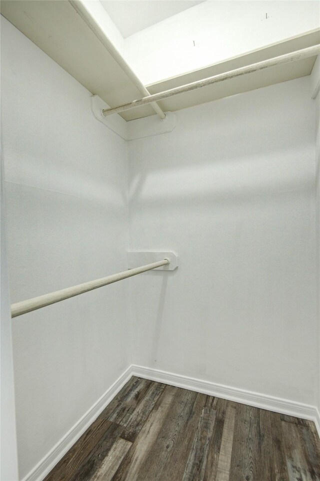spacious closet featuring dark wood-style floors
