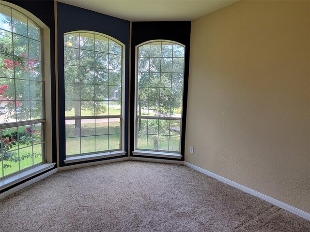 spare room featuring plenty of natural light, carpet, a textured wall, and baseboards