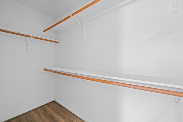walk in closet with dark wood-style flooring