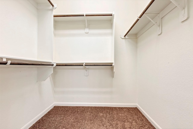 spacious closet with carpet flooring