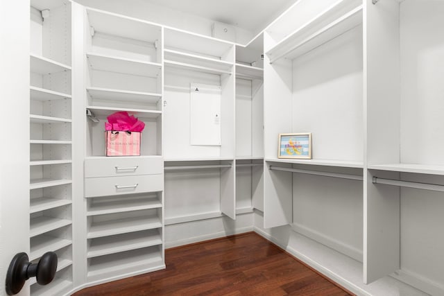 walk in closet with dark wood-type flooring