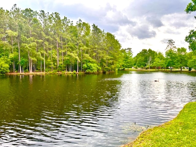 view of water feature with a forest view