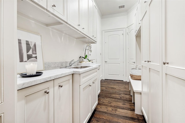 washroom featuring dark wood finished floors, ornamental molding, a sink, and visible vents