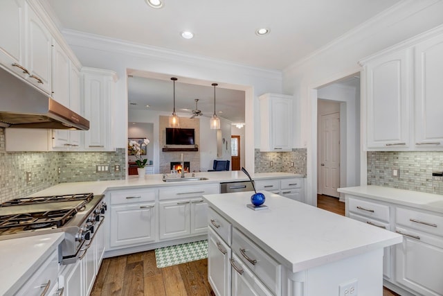 1267 Sopris Dr, Houston, TX 77077 - kitchen with appliances with stainless steel finishes, tasteful backsplash, dark wood finished floors, white cabinets, and crown molding