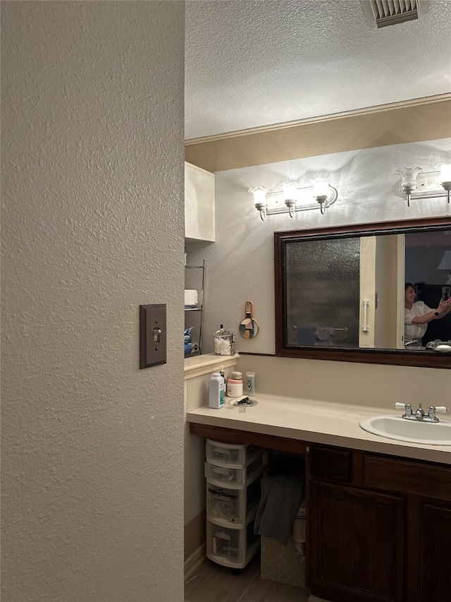 4060 Dubuque Pkwy, Rosharon, TX 77583 - bathroom featuring vanity, a textured ceiling, a textured wall, and visible vents