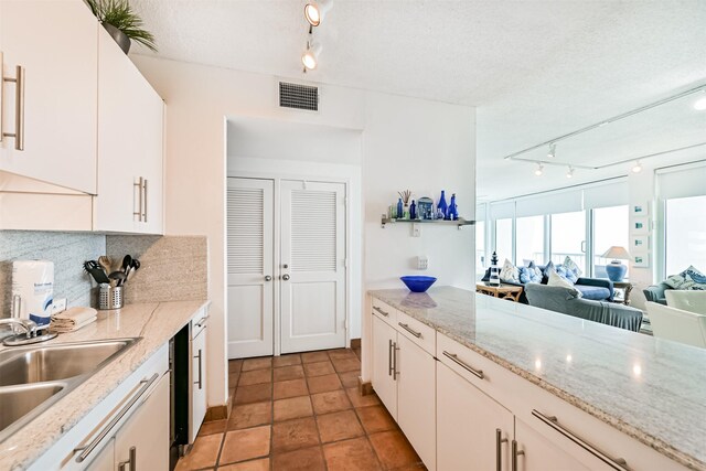 kitchen with white cabinets, track lighting, a sink, backsplash, and visible vents