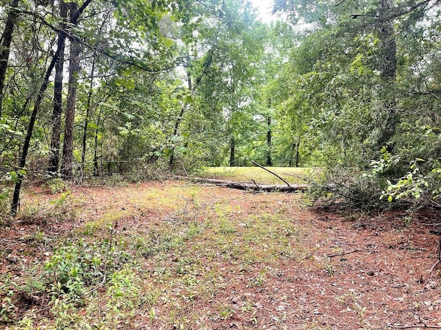 view of local wilderness featuring a wooded view