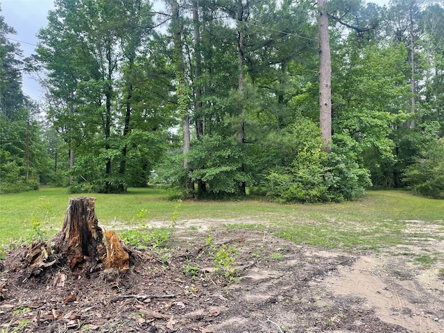 view of yard featuring a wooded view
