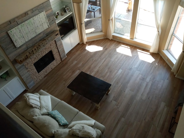 living area featuring wood finished floors and a fireplace