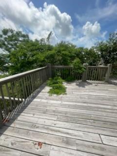 971 E Verdie Dr, Crystal Beach, TX 77650