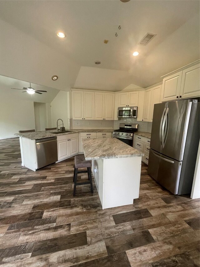 kitchen featuring appliances with stainless steel finishes, a sink, a peninsula, vaulted ceiling, and dark wood-style floors
