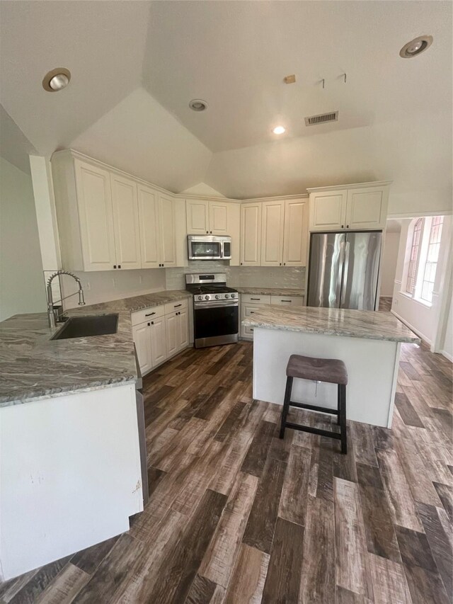 kitchen with dark wood-style flooring, light stone countertops, vaulted ceiling, a sink, and stainless steel appliances