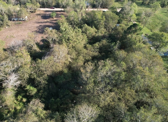 5935 Pindula Rd, Sealy, TX 77474 - photo 1