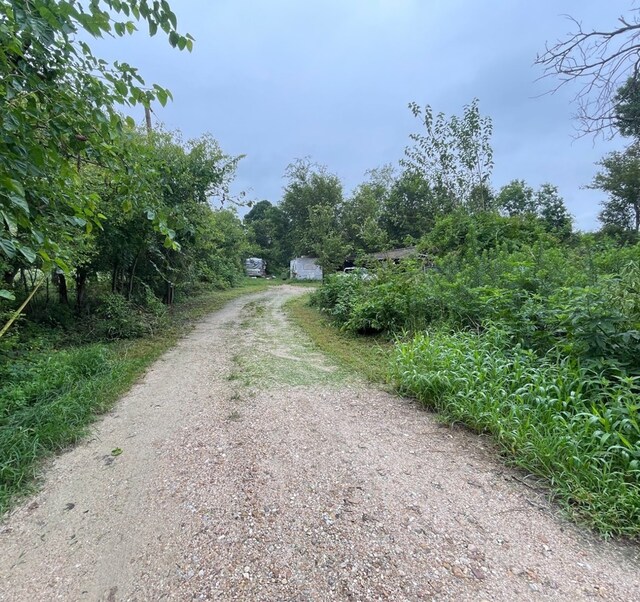 5935 Pindula Rd, Sealy, TX 77474 - photo 4