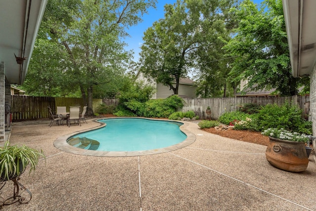 view of pool with a fenced in pool, a patio, and a fenced backyard