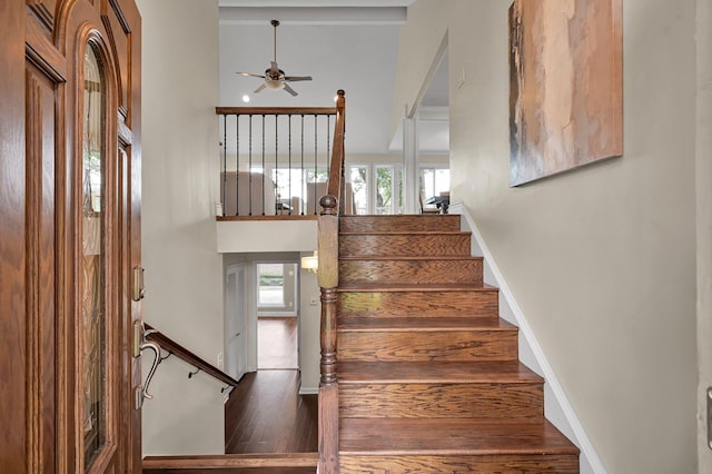 stairway with baseboards, ceiling fan, a towering ceiling, and wood finished floors