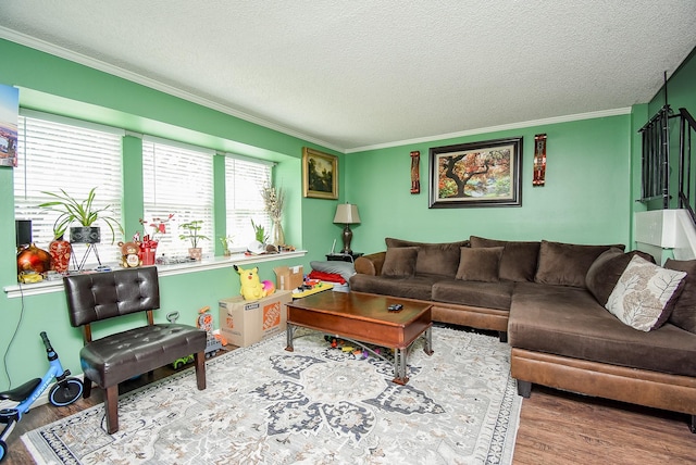 living room featuring crown molding, a textured ceiling, and wood finished floors