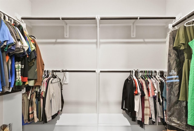 view of spacious closet