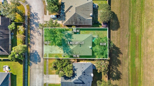 bird's eye view