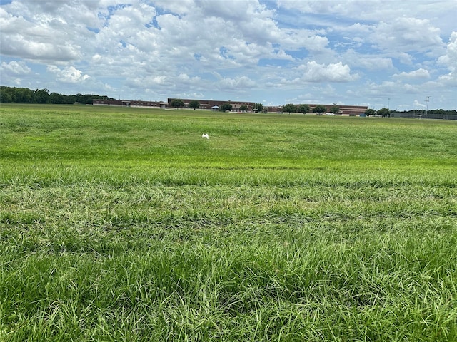 view of local wilderness featuring a rural view