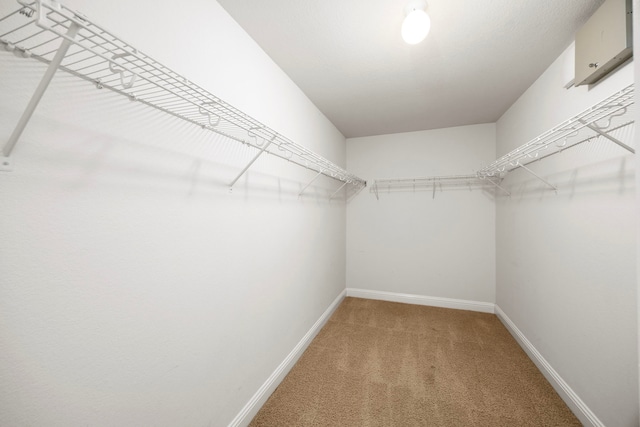 walk in closet with light carpet