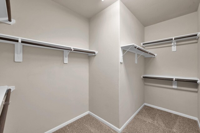 walk in closet with carpet