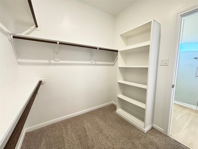 walk in closet featuring carpet flooring