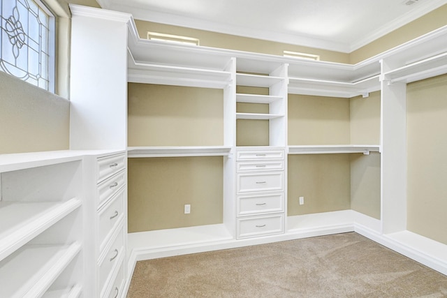 1004 8th St, San Leon, TX 77539 - walk in closet featuring carpet floors