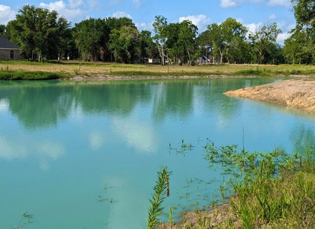2840 County Road 160, Alvin, TX 77511 - photo 5