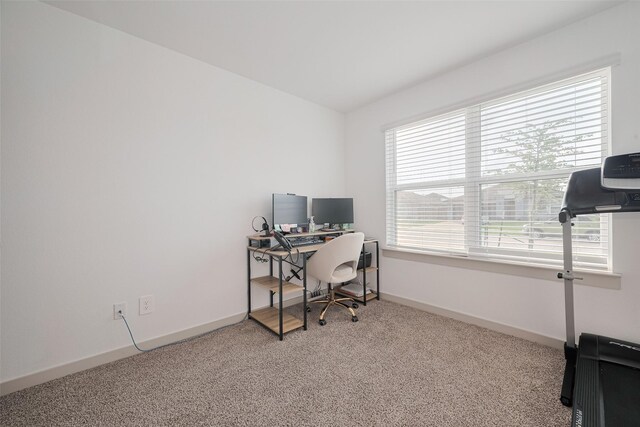 office space featuring baseboards and carpet flooring