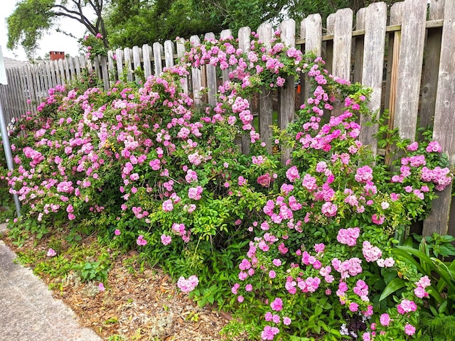 exterior details with fence