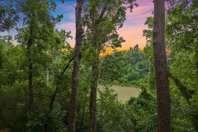 nature at dusk featuring a forest view
