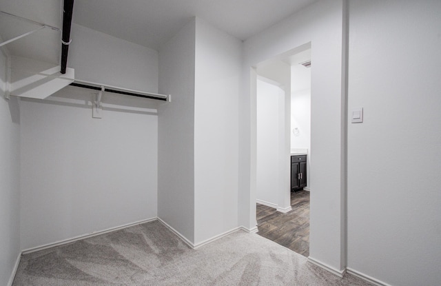 spacious closet featuring carpet floors
