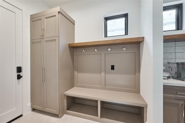 mudroom featuring plenty of natural light