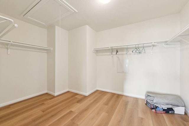 walk in closet featuring attic access and wood finished floors
