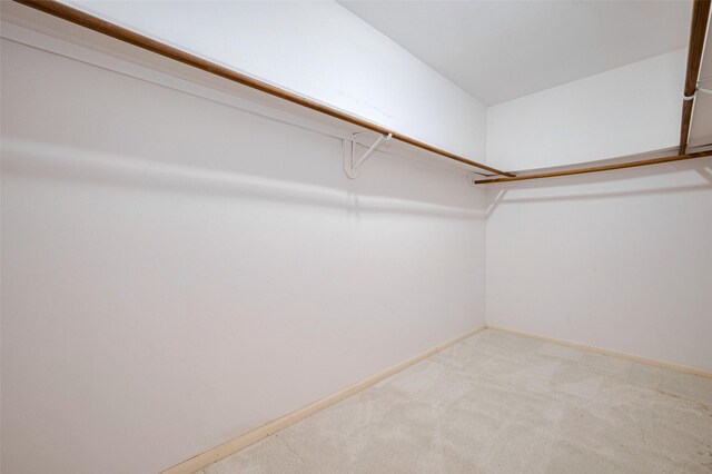 walk in closet with light carpet