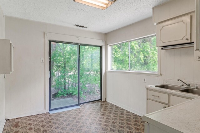 331 Hickerson St, Cedar Hill, TX 75104 - kitchen featuring light countertops, visible vents, plenty of natural light, and a sink