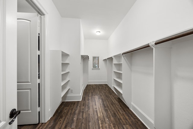 25211 Birchwood Springs Ave, Porter, TX 77365 - walk in closet featuring dark wood finished floors