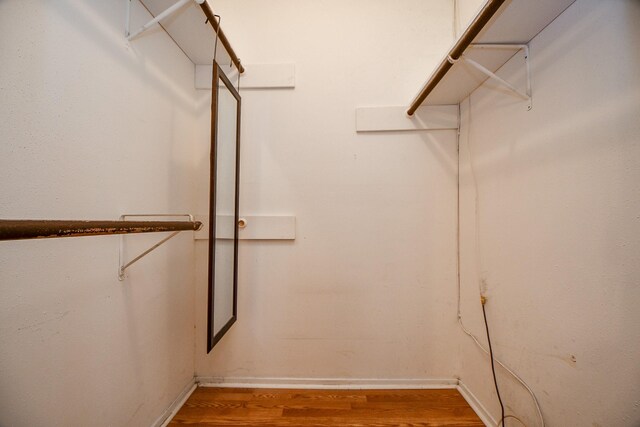 walk in closet featuring wood finished floors